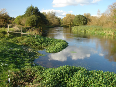 River Itchen